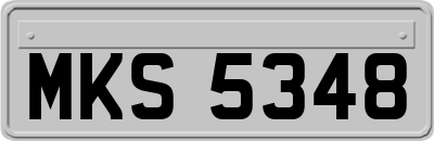 MKS5348