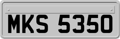 MKS5350
