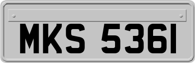 MKS5361