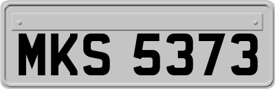MKS5373