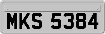 MKS5384