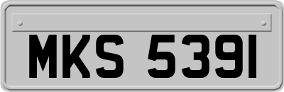 MKS5391