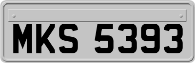 MKS5393