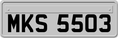 MKS5503