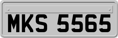 MKS5565