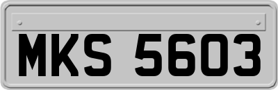 MKS5603