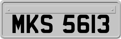 MKS5613