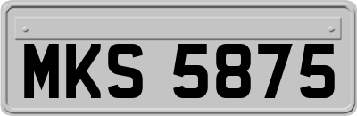 MKS5875