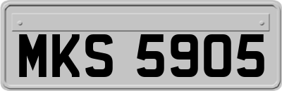 MKS5905
