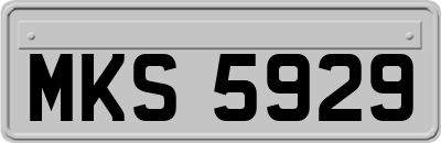 MKS5929