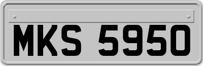MKS5950