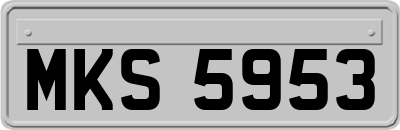 MKS5953