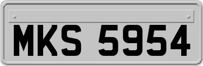 MKS5954