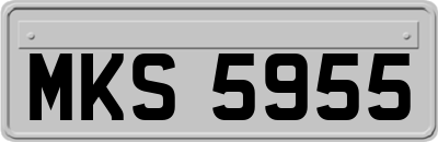 MKS5955