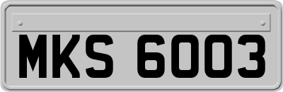 MKS6003