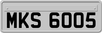 MKS6005