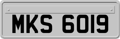 MKS6019