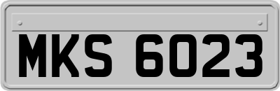 MKS6023