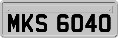 MKS6040
