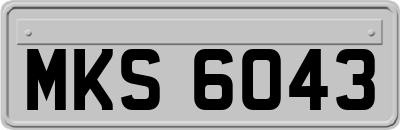 MKS6043