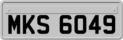 MKS6049