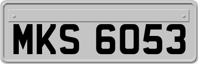 MKS6053