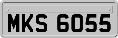 MKS6055