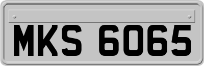 MKS6065