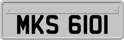 MKS6101