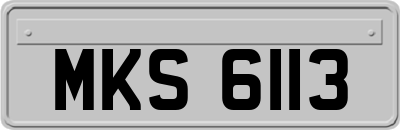 MKS6113