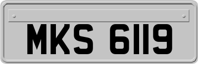 MKS6119