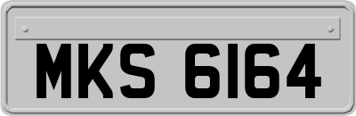 MKS6164