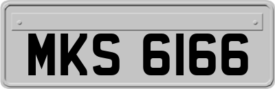 MKS6166