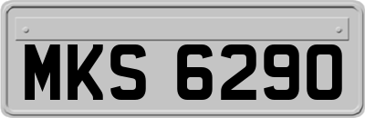 MKS6290