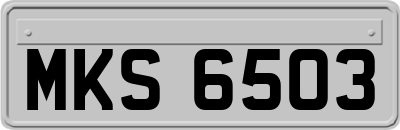 MKS6503