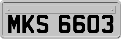MKS6603
