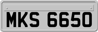 MKS6650