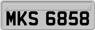 MKS6858