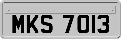 MKS7013