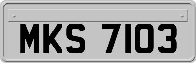 MKS7103