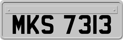 MKS7313