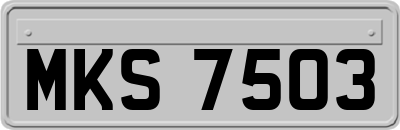 MKS7503