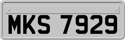 MKS7929