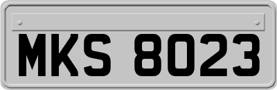 MKS8023