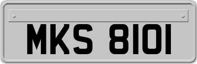 MKS8101