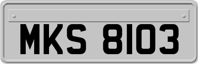 MKS8103
