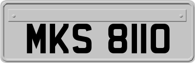 MKS8110