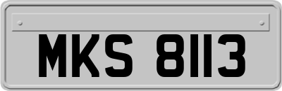 MKS8113