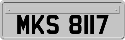 MKS8117