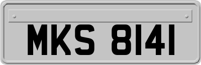 MKS8141